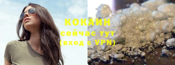 соль ск Новозыбков