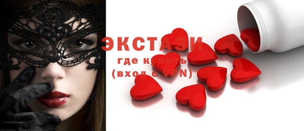 соль ск Новозыбков