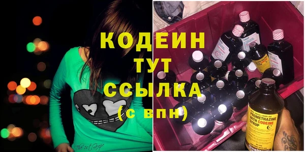 соль ск Новозыбков