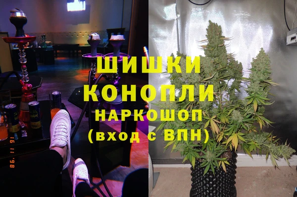 соль ск Новозыбков