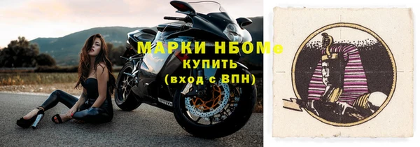 соль ск Новозыбков