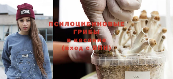 соль ск Новозыбков