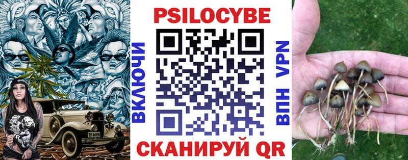 гидра онион  Котлас  Галлюциногенные грибы прущие грибы 