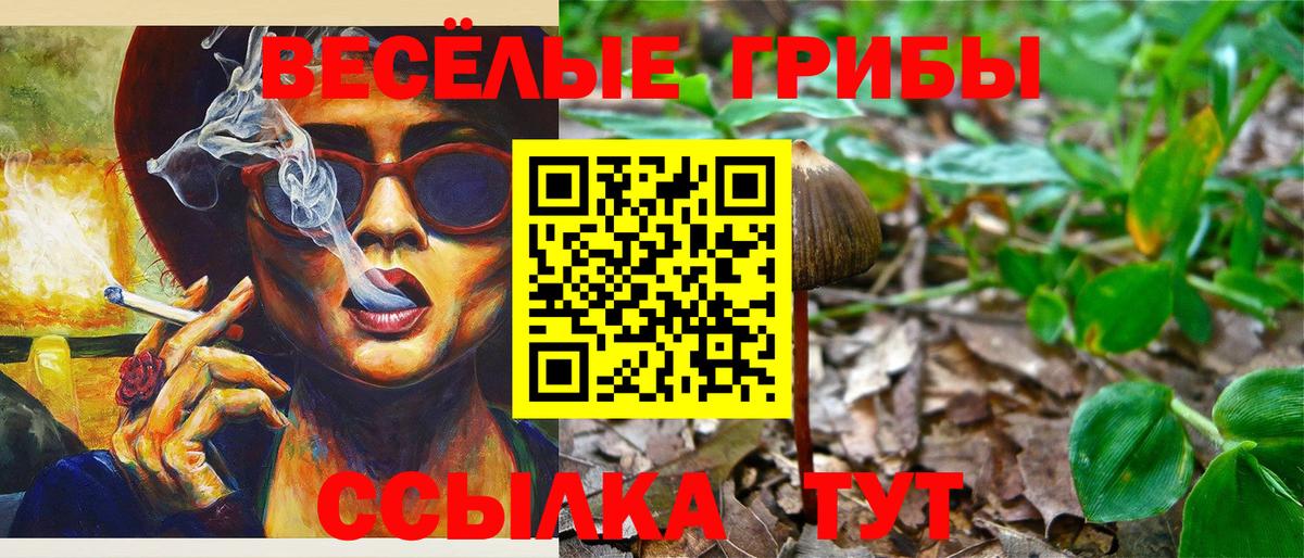 Котлас  Галлюциногенные грибы прущие грибы  Вход с VPN 