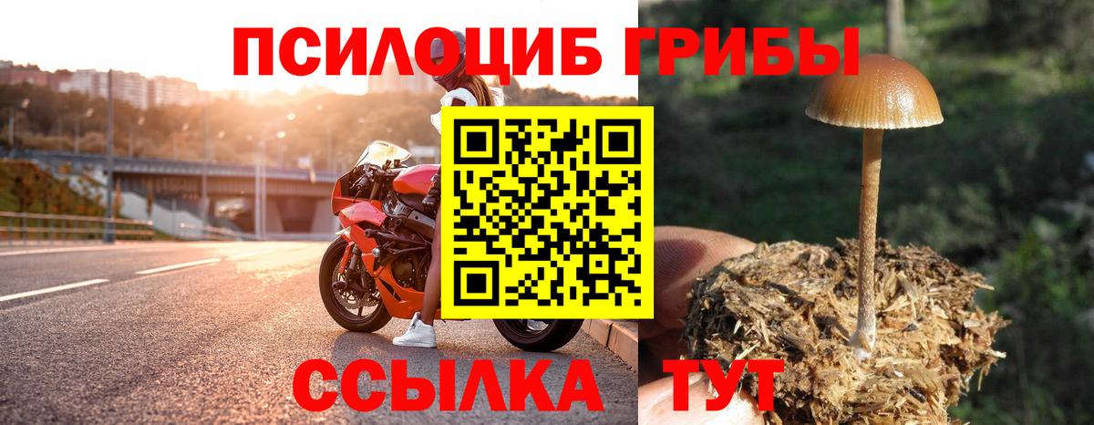 Псилоцибиновые грибы Magic Shrooms Котлас