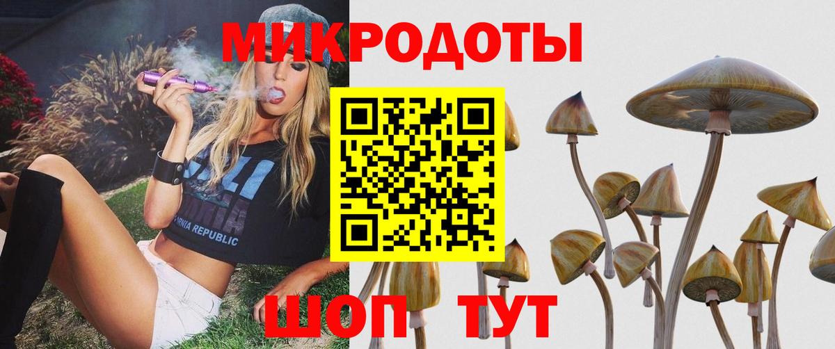 Псилоцибиновые грибы Magic Shrooms Котлас