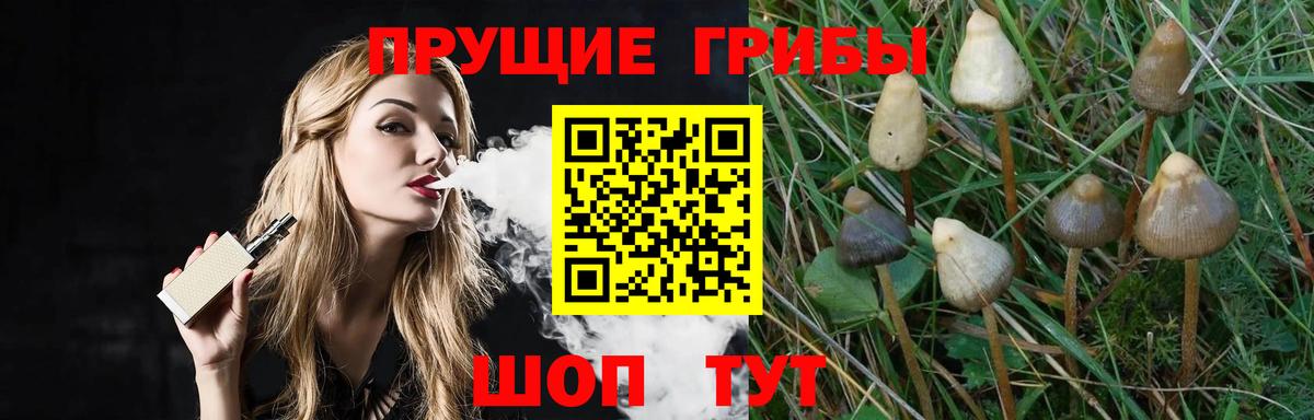 Галлюциногенные грибы GOLDEN TEACHER  Котлас 