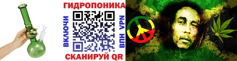 это какой сайт  купить наркотик  Котлас  Шишки марихуана SATIVA & INDICA 